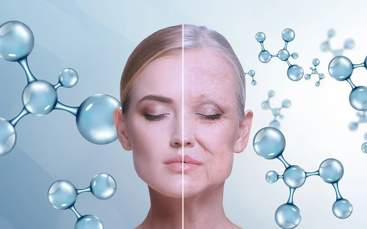 Discover how advanced longevity supplements work at the cellular level. Uncover the anti-aging benefits of NAD+ boosters, NMN, and senolytics.