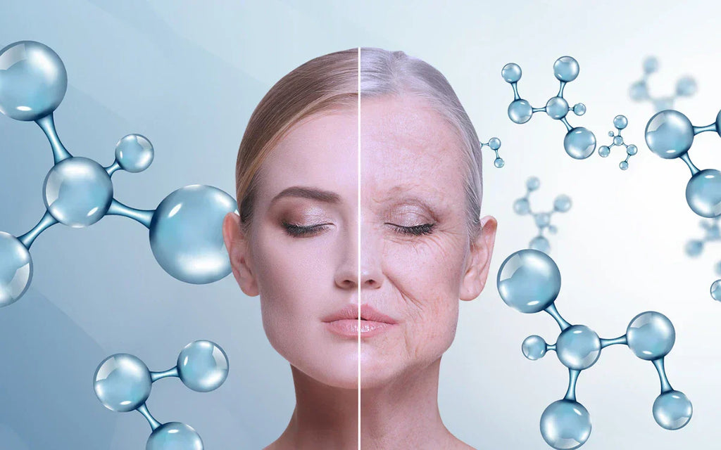 Discover how advanced longevity supplements work at the cellular level. Uncover the anti-aging benefits of NAD+ boosters, NMN, and senolytics.