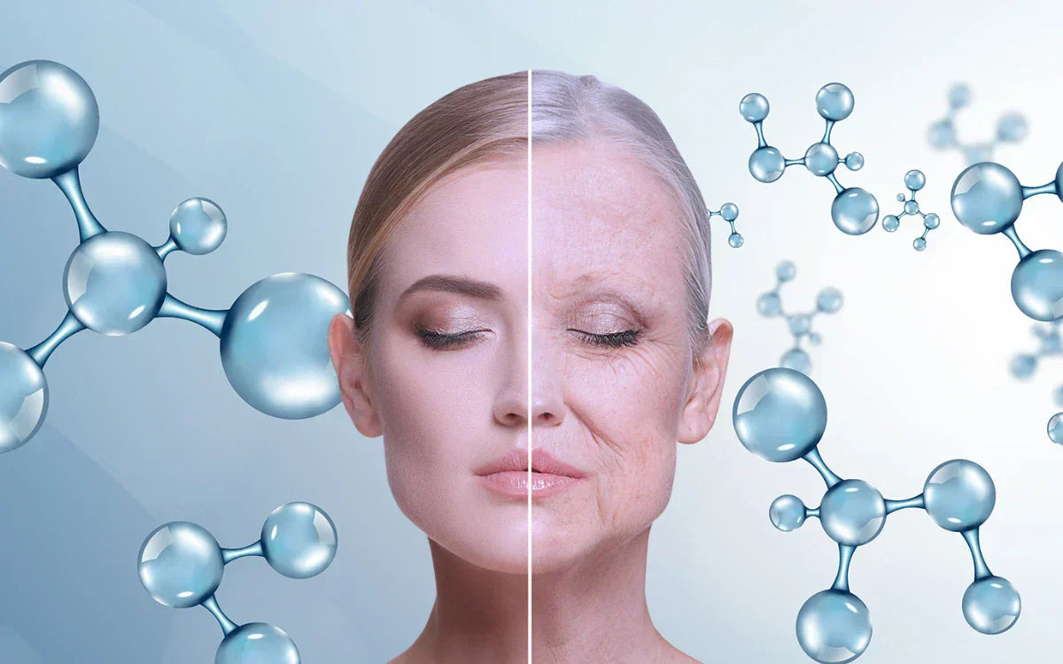 Discover how advanced longevity supplements work at the cellular level. Uncover the anti-aging benefits of NAD+ boosters, NMN, and senolytics.