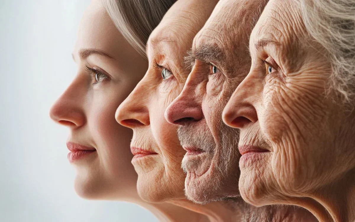 Discover the science of longevity. Learn how NMN supports NAD+ levels and metabolic health, and explore long-term research on its safety and benefits.