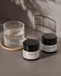 The Essentials Bundle XR I NMN