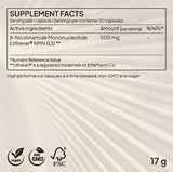 The Essentials Bundle XR